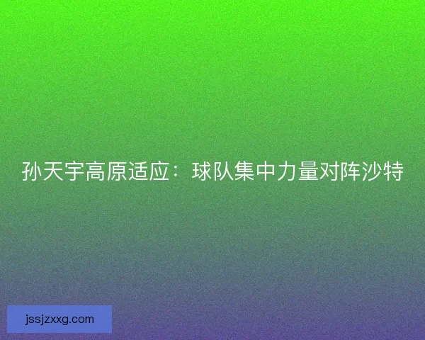 孙天宇高原适应：球队集中力量对阵沙特